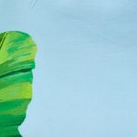 306494_19974_10-TOP-ESTAMPADO-FRESCOR-DE-BANANA