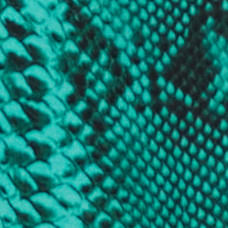 25341745_09539_10-CALCA-PAREO-COBRA-BISCIONE