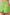 SHORT SARJA PESPONTO BOLSO - LIME