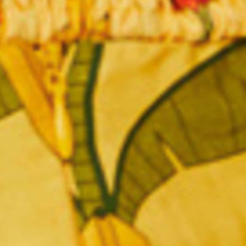 337078_49626_10-TOP-BANANA-DECO