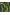 Casaco Adidas Zig Zag Stripes Green